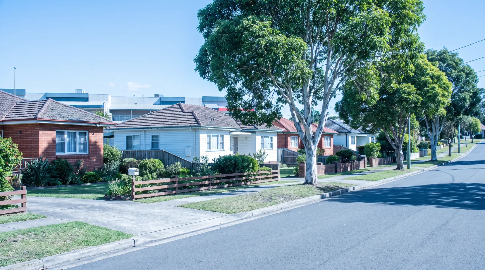 An established Charlestown street at midday: single-storey brick and weatherboard homes on timber floors, mature gum trees and low front fences, the rooftops of the shopping precinct low in the distance